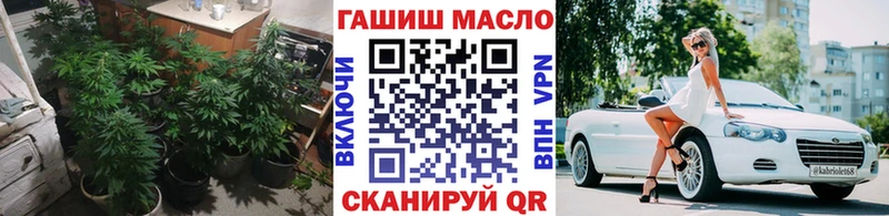 даркнет Telegram  Мышкин  ТГК вейп с тгк 